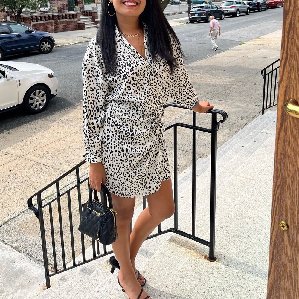 ZARA dress